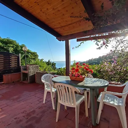 Fiorita -